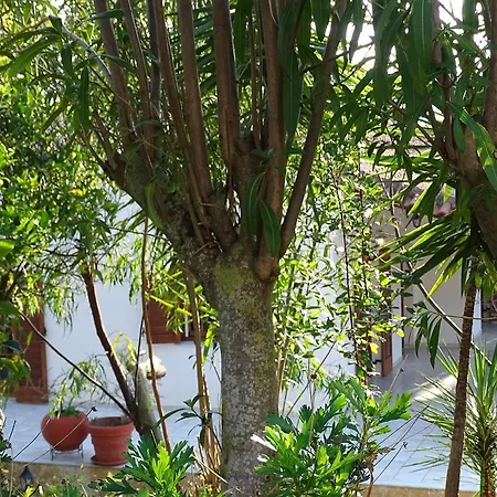 Bungalow Gialova